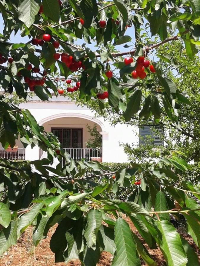 Bed and Breakfast La Volpina Мартіна-Франка Екстер'єр фото